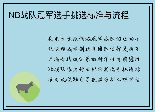 NB战队冠军选手挑选标准与流程